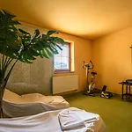 Viktoria 3* Rajecké Teplice
