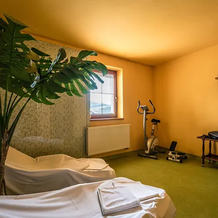 Viktória 3* Rajecké Teplice